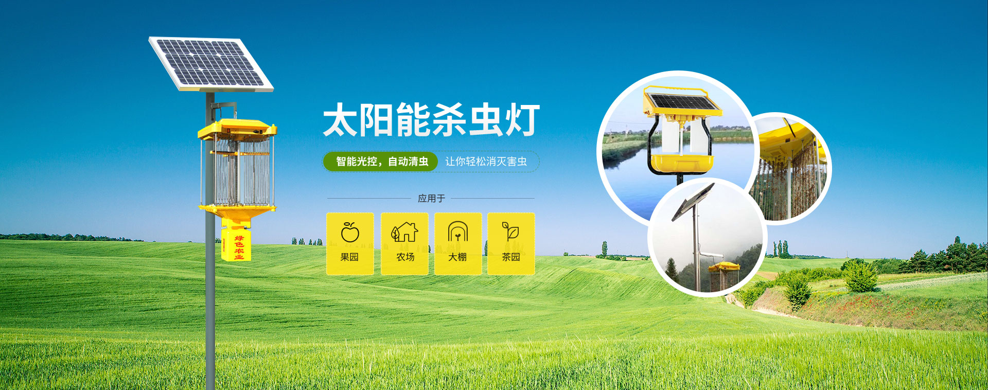 果園農場茶園茄子视频在线看