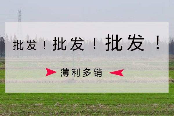 茄子视频在线看批發價格要比零售價格低